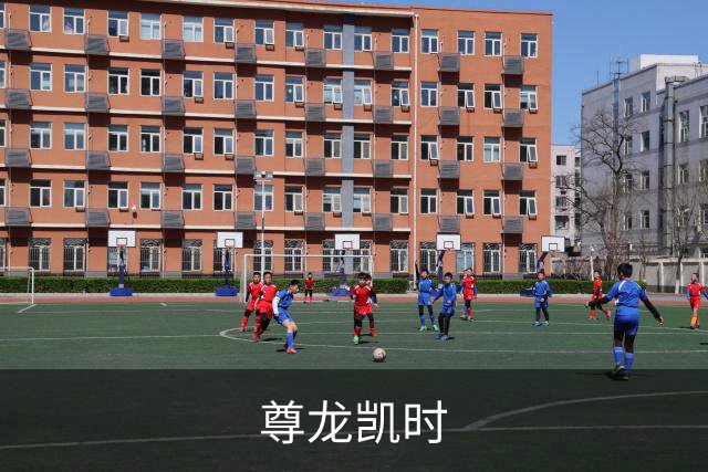 尊龙凯时公司介绍
